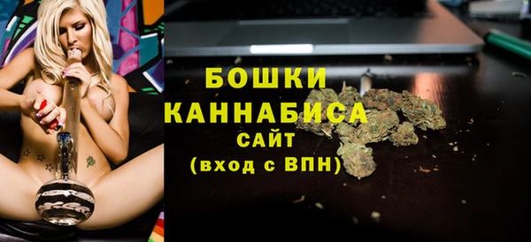 амф Кулебаки