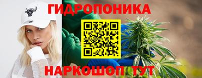 гидропоника Дубна