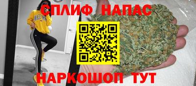 гидропоника Дубна