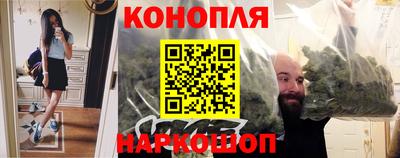 гидропоника Дубна