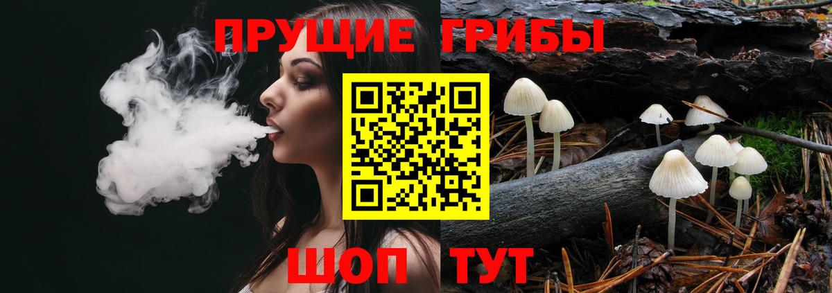 Малгобек  Псилоцибиновые грибы MAGIC MUSHROOMS  Вход с VPN 
